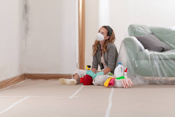 Mold Removal service in Richmond